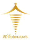 املاک سنگین دکتر همایونی